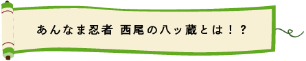 あんなま忍者　西尾の八ッ蔵（やつぞう）とは